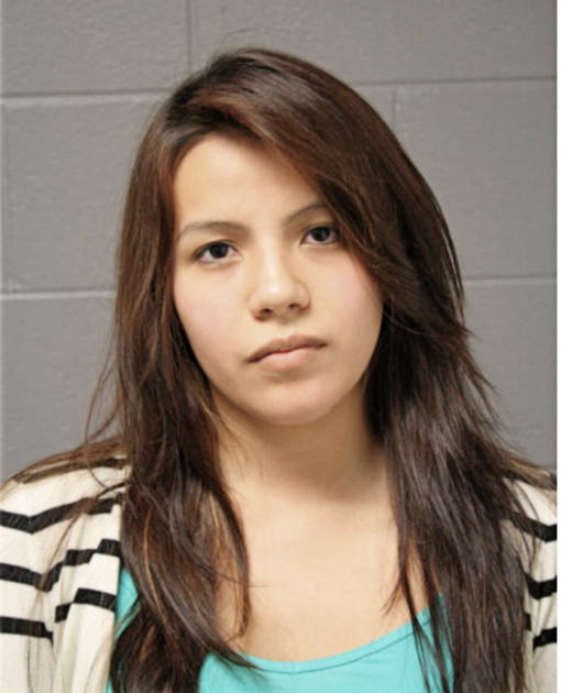 ANGELICA A TORRES, Cook County, Illinois