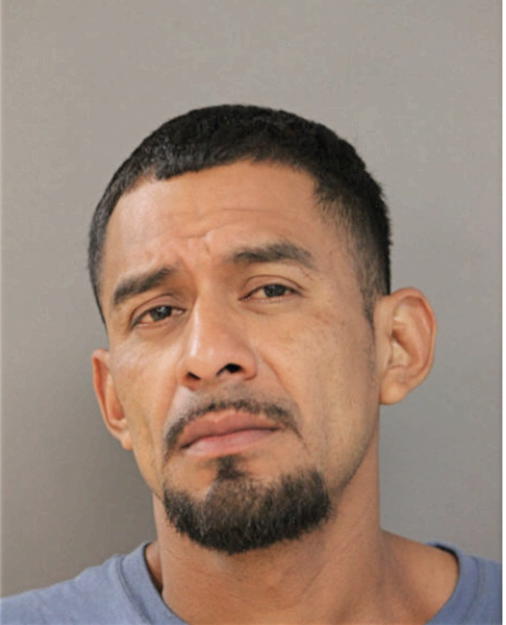 JOSE E VARGAS, Cook County, Illinois