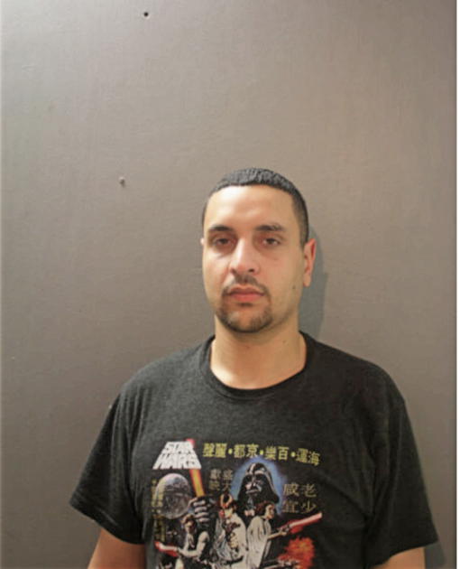 AYMAN M ABDELAZIZ, Cook County, Illinois