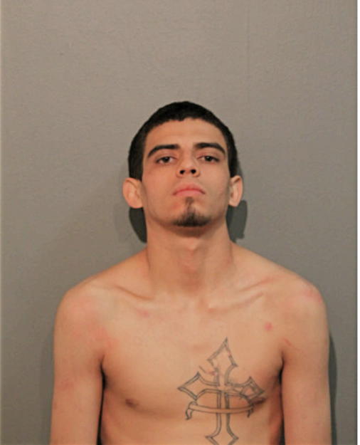 JAVONNI J AVILA, Cook County, Illinois