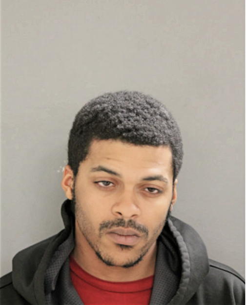 DAYON D BARNES, Cook County, Illinois