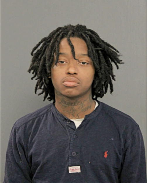 MARCUS J CAMERON, Cook County, Illinois