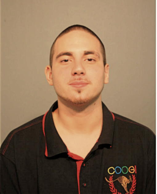 WALTER J GONZALEZ, Cook County, Illinois
