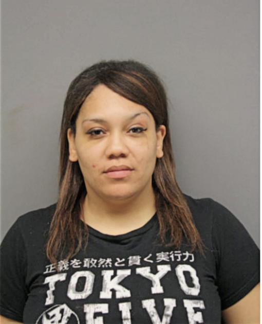 JAMEKA L HUDSON, Cook County, Illinois