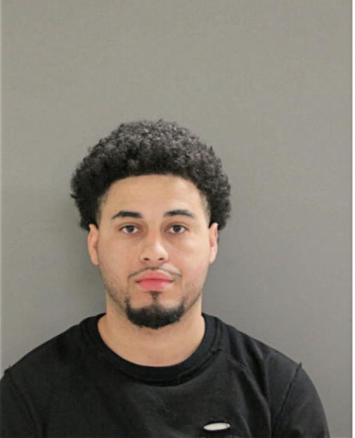 DANTE LAMONT JENKINS, Cook County, Illinois