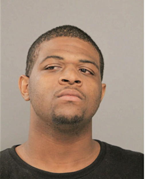 CHRISTOPHER C JOHNSON, Cook County, Illinois