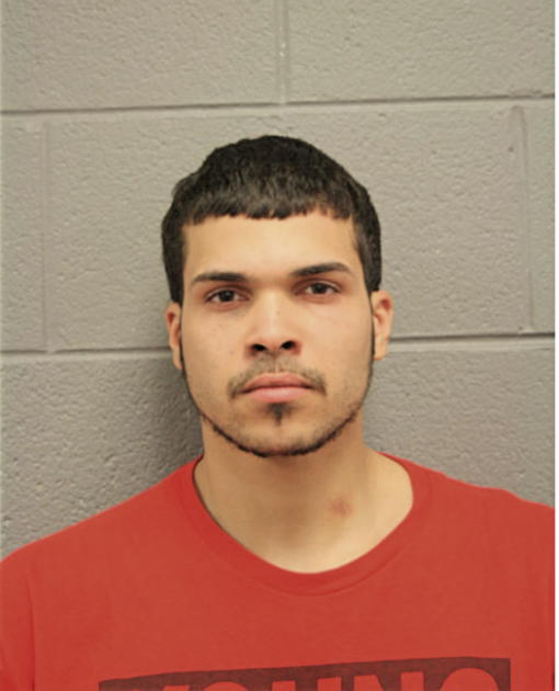 SEAN A LLORENS, Cook County, Illinois