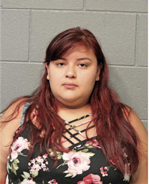 NARCISA J MESA, Cook County, Illinois