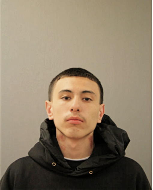 DIEGO PEREZ, Cook County, Illinois