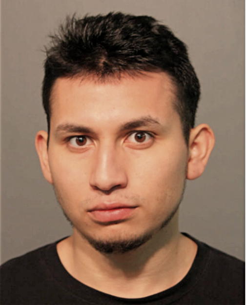 OSCAR I PEREZ, Cook County, Illinois