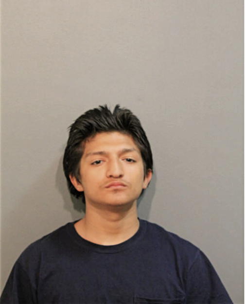 JOSE L RODRIGUEZ, Cook County, Illinois