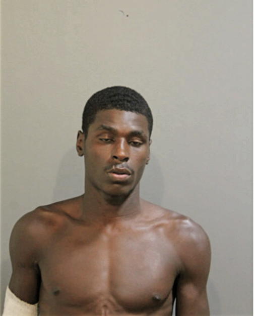 RONALD A SMITH, Cook County, Illinois
