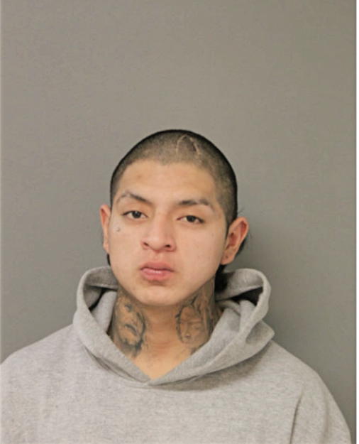 CARLOS TEOEZACA, Cook County, Illinois
