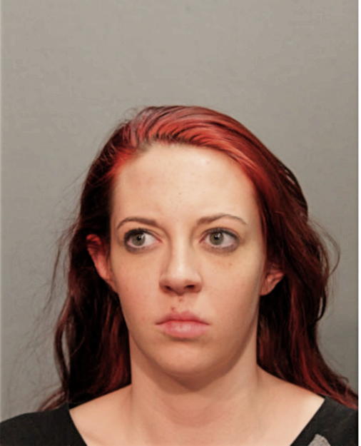 DANIELLE M THYS, Cook County, Illinois