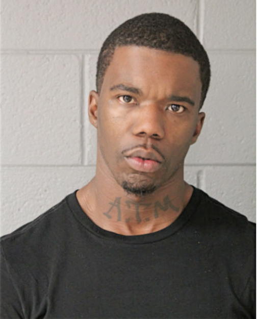 RAPHAEL D YOUNG, Cook County, Illinois
