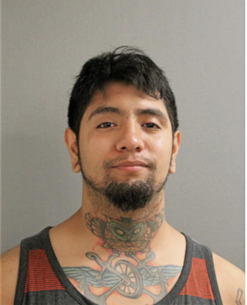 ERICK ABOYTES, Cook County, Illinois