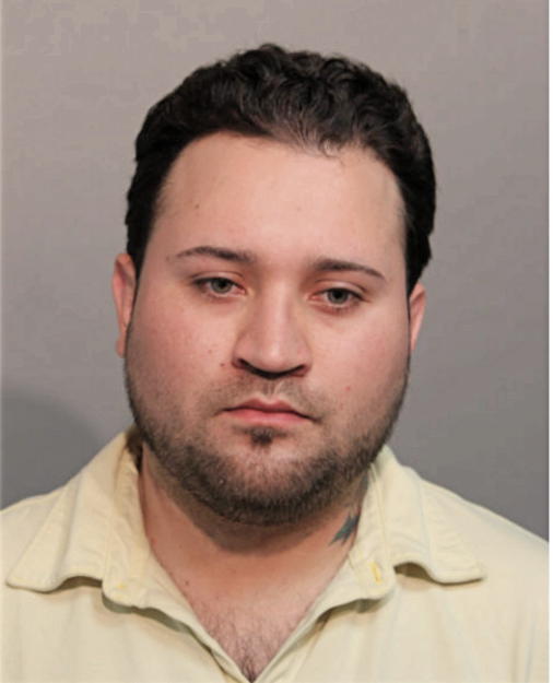 SALOMON J ALANIS, Cook County, Illinois