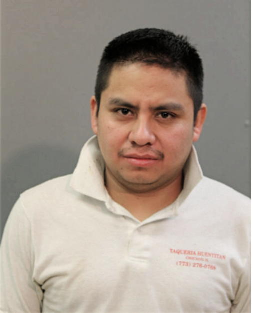 ROBERTO C TORRES-NORIEGA, Cook County, Illinois