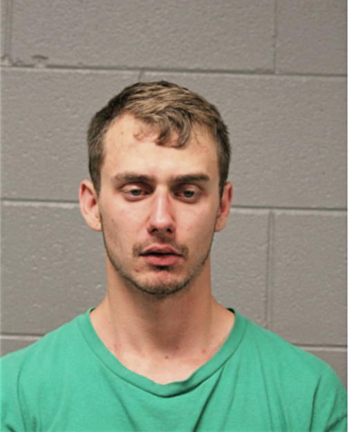 TIMOTHY W CARLSON, Cook County, Illinois
