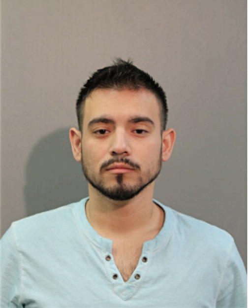 MIGUEL A CASAS, Cook County, Illinois