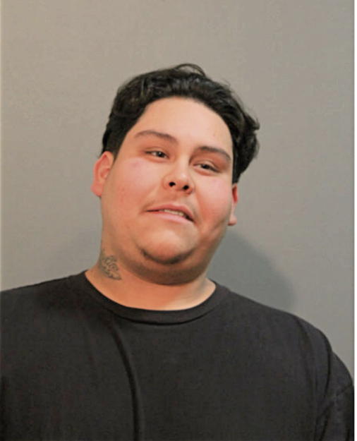 JAMES C CHAVEZ, Cook County, Illinois