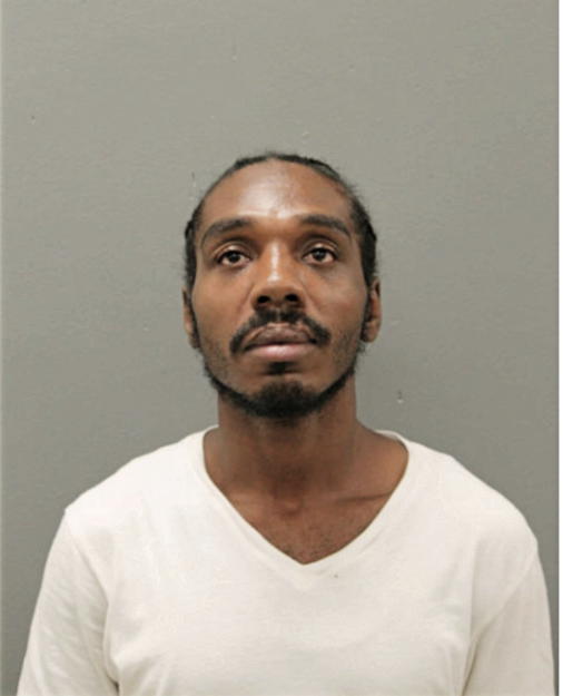 MICHAEL L COBBS, Cook County, Illinois