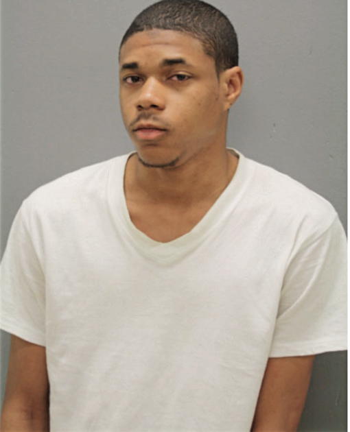 LAMONT L COLLINS, Cook County, Illinois