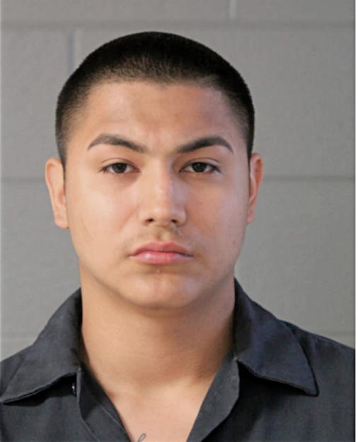 JUAN A CRUZ, Cook County, Illinois