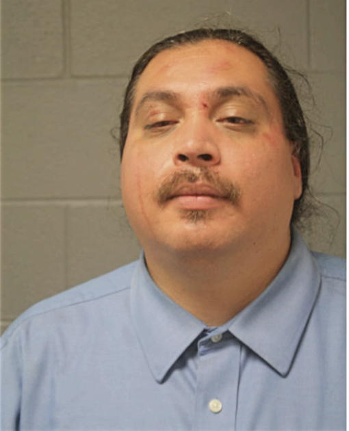 ANDRES DELARIVA, Cook County, Illinois