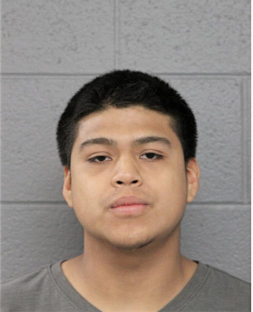 JOEL DOMINGUEZ, Cook County, Illinois