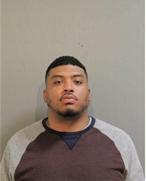 MICHAEL A GARDNER, Cook County, Illinois