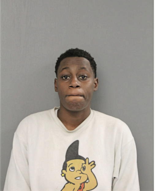 BRITTANY L JACKSON, Cook County, Illinois