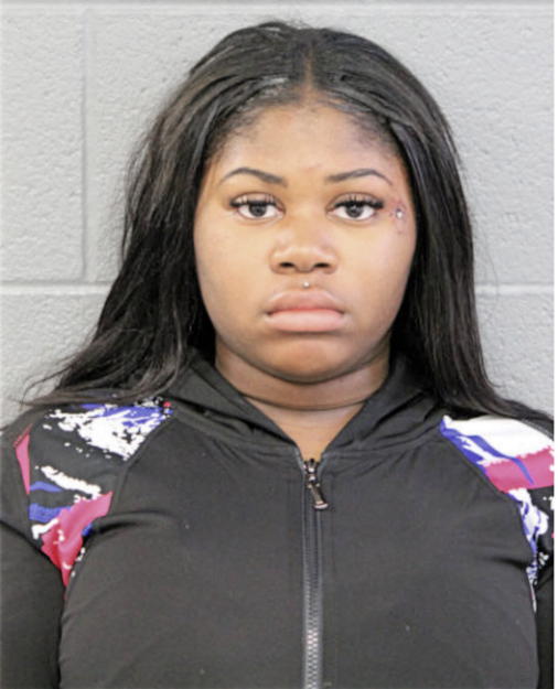 ABRIEL L JOHNSON, Cook County, Illinois
