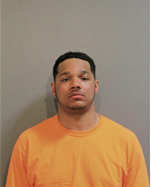 NICHOLAS E JOHNSON, Cook County, Illinois
