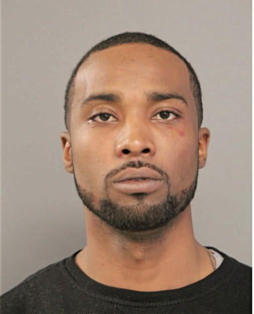 ROBERT L JOHNSON, Cook County, Illinois