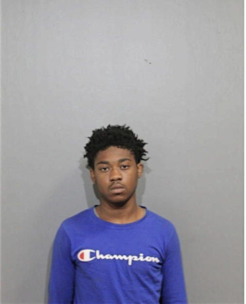 TERRENCE L KING, Cook County, Illinois