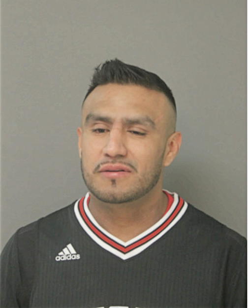 BRUNO R LOPEZ, Cook County, Illinois