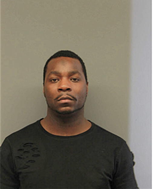 KEVIN J MCGOWAN, Cook County, Illinois