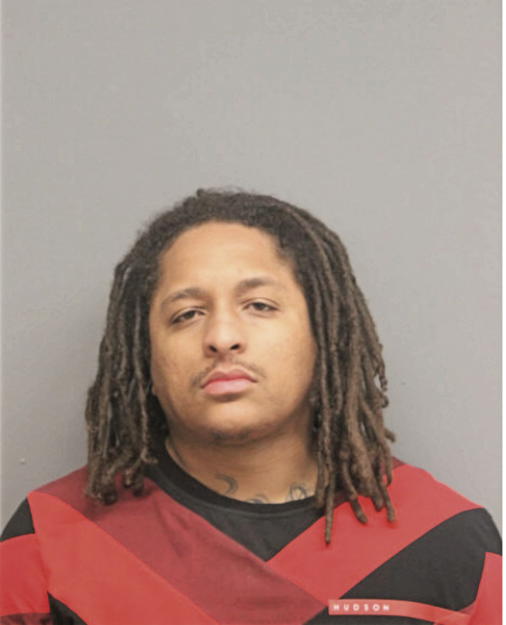 RYAN C MORRISSETTE, Cook County, Illinois