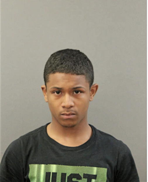 DEON A NELSON, Cook County, Illinois