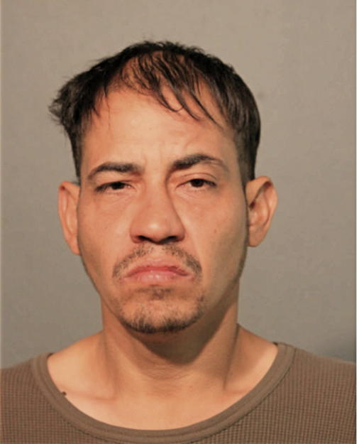 JOSE A NIEVES, Cook County, Illinois