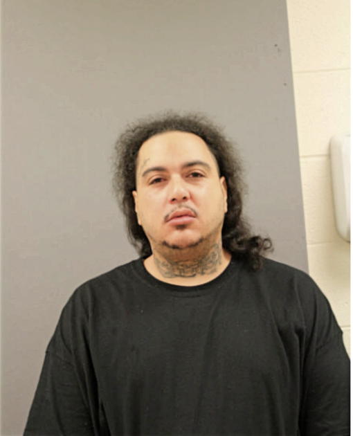 GEORGE ROSARIO, Cook County, Illinois