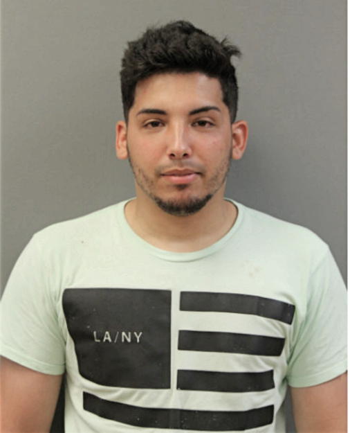 DARIO O SALAS, Cook County, Illinois