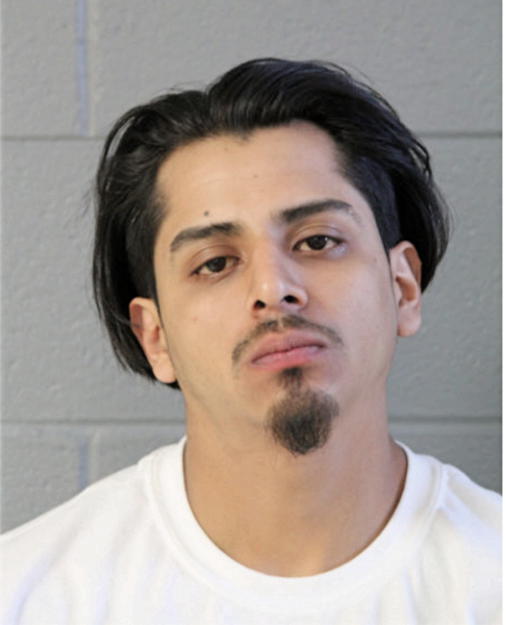 SAMUEL O SALCEDO, Cook County, Illinois