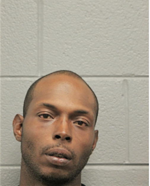 MICHAEL L WATKINS, Cook County, Illinois