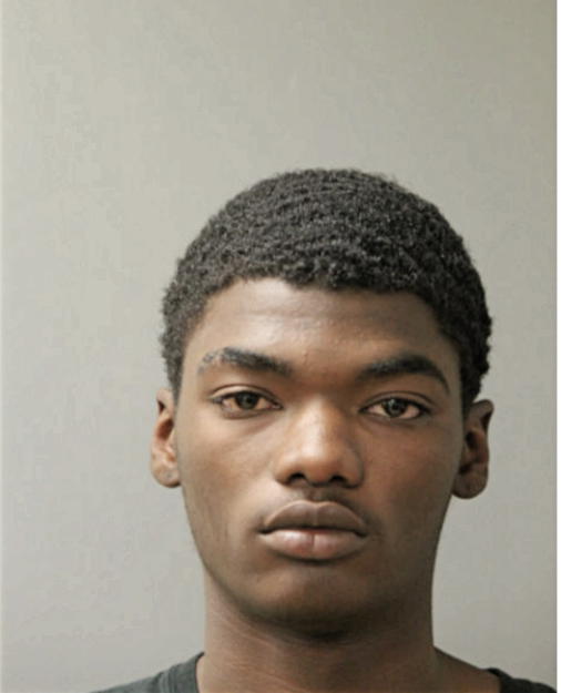 BRYAN R WILLIAMS, Cook County, Illinois