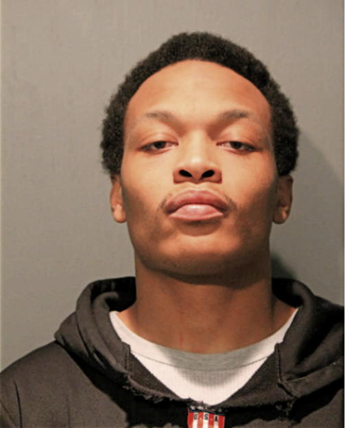 DAVID L ABRAHAM, Cook County, Illinois