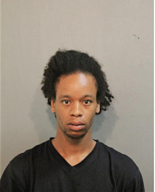 DARNELL M BROWN, Cook County, Illinois