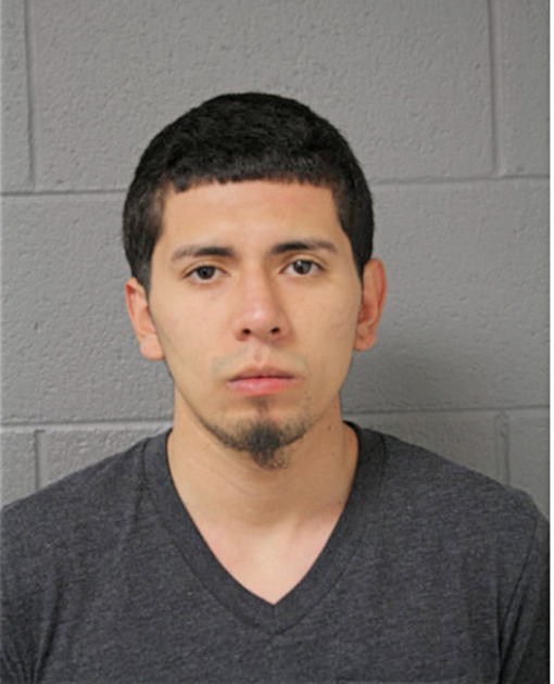 RANDY A CARRILLO, Cook County, Illinois