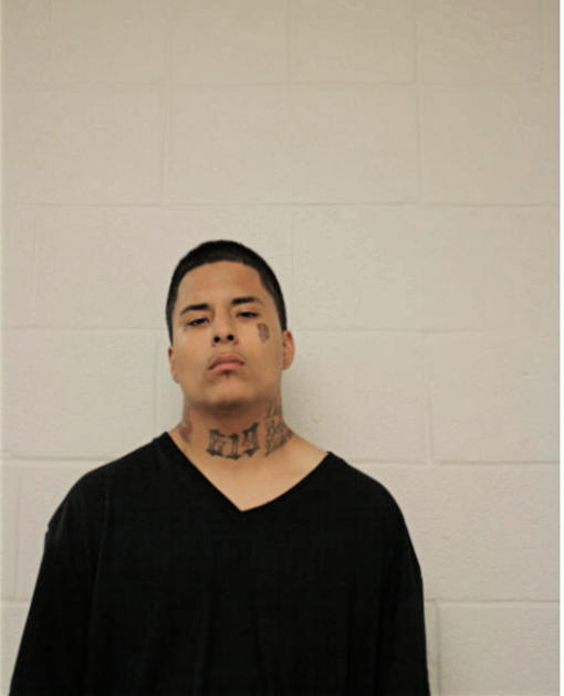 MARIO A ELVIRA, Cook County, Illinois